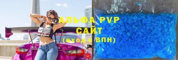 соль ск Новодвинск