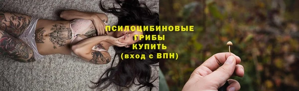 СК Новокубанск