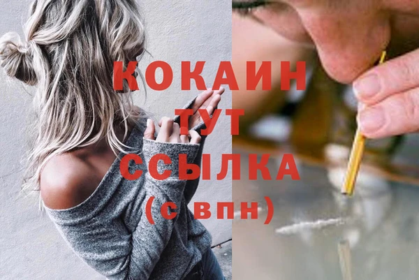 СК Новокубанск