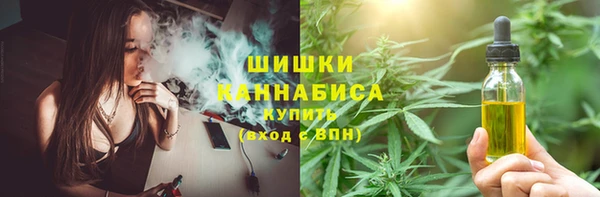 сатива Нефтегорск