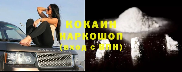 соль ск Новодвинск