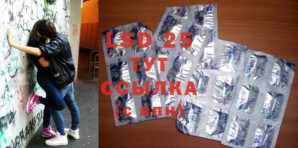 соль ск Новодвинск