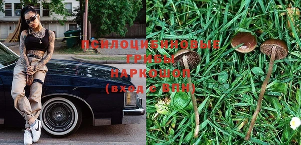 сатива Нефтегорск