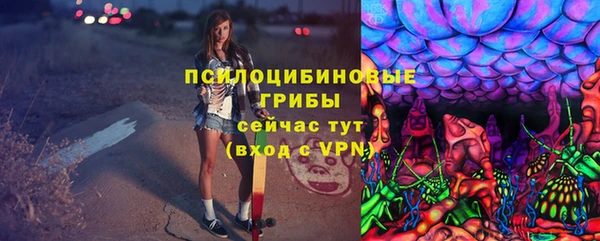 СК Новокубанск