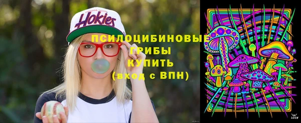 сатива Нефтегорск