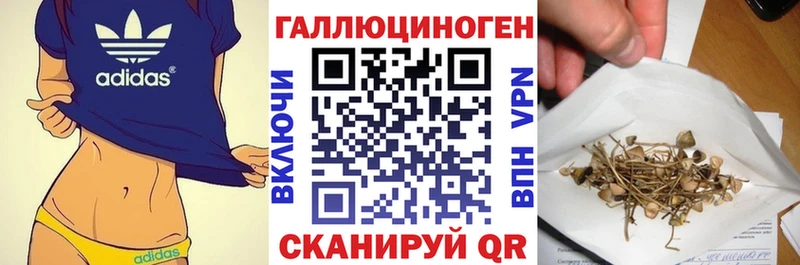 Псилоцибиновые грибы Psilocybine cubensis MEGA как войти Кизляр