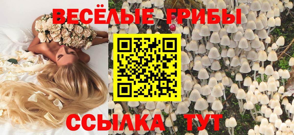 Кизляр  Галлюциногенные грибы GOLDEN TEACHER  Псилоцибиновые грибы Magic Shrooms  Вход с VPN 